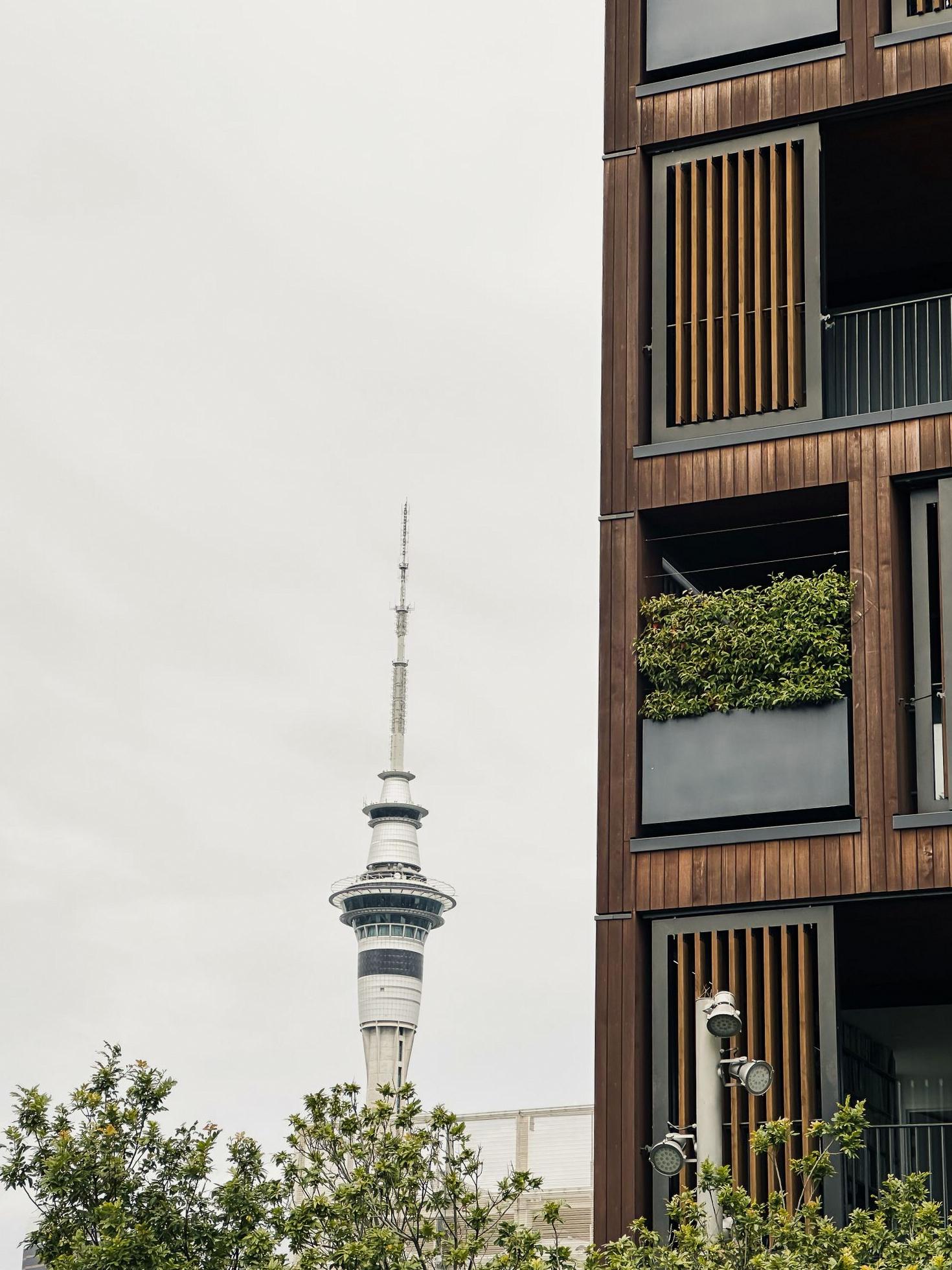 Urban architecture in Auckland
