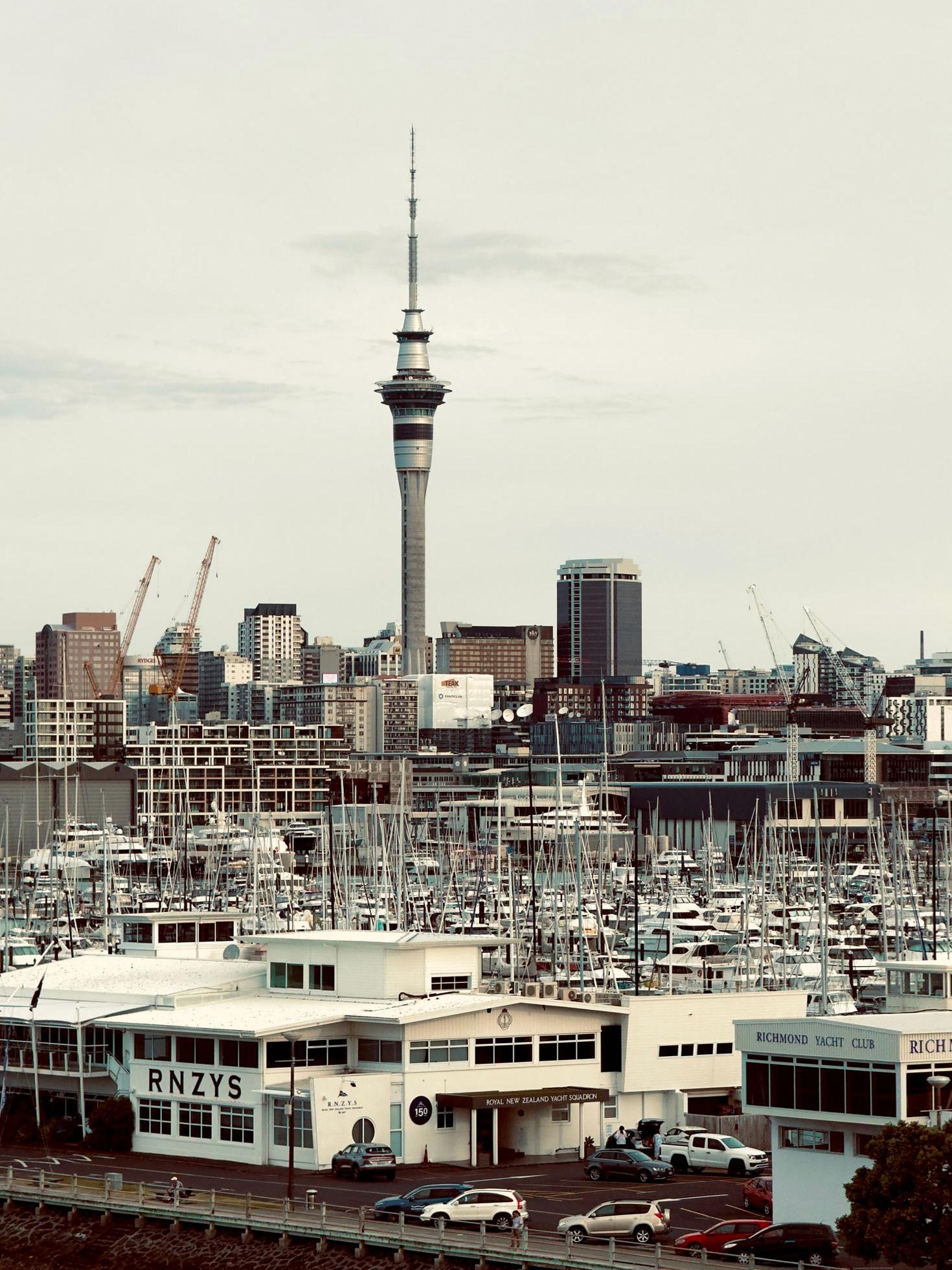 Auckland skyline views