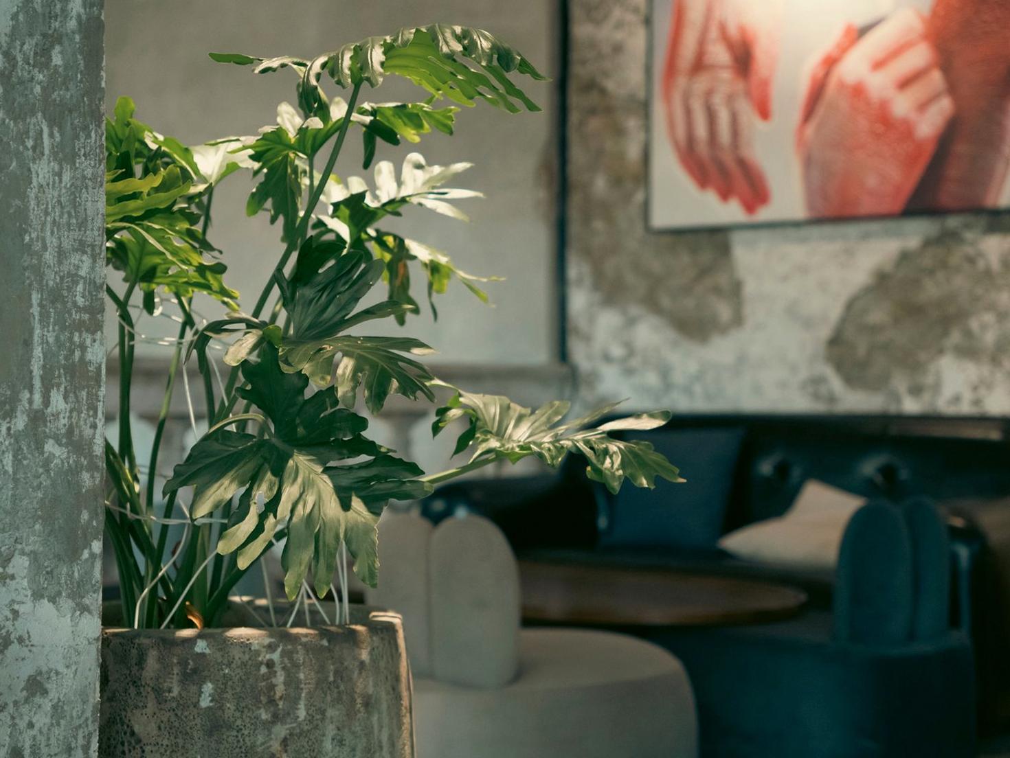 Cozy seating corner